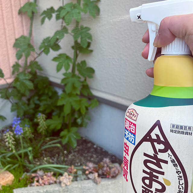 pekoさんの実例写真