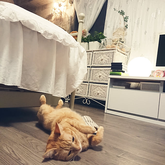 asuminさんの実例写真