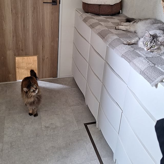 toramonaさんの部屋