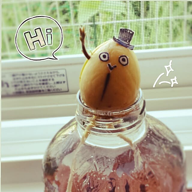 masax_xさんの実例写真