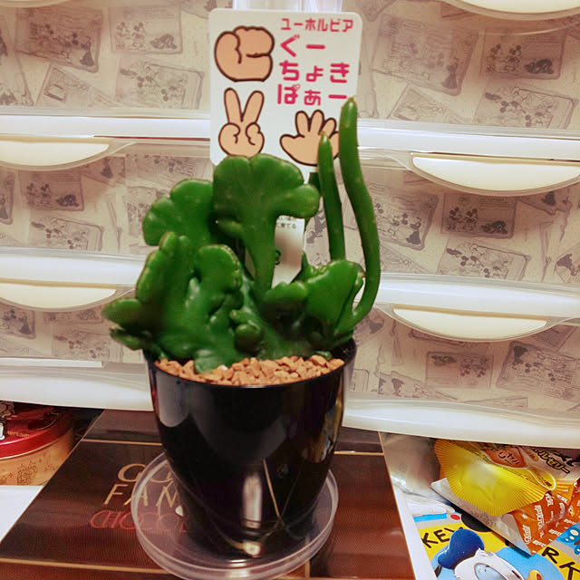 mayumayumakomakoさんの実例写真