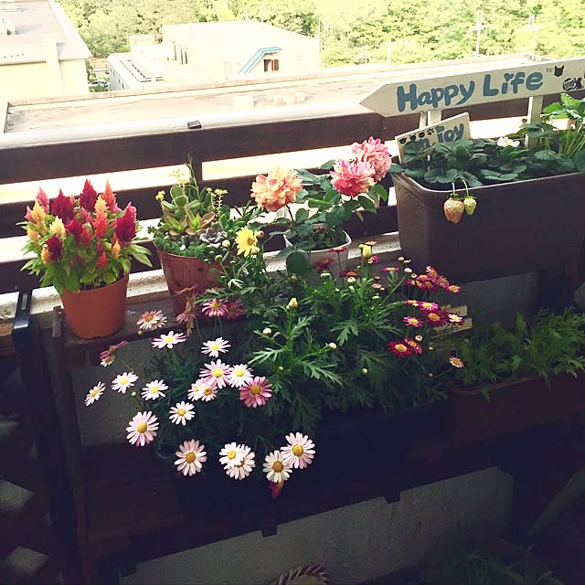 miyapp.hiroppさんの実例写真