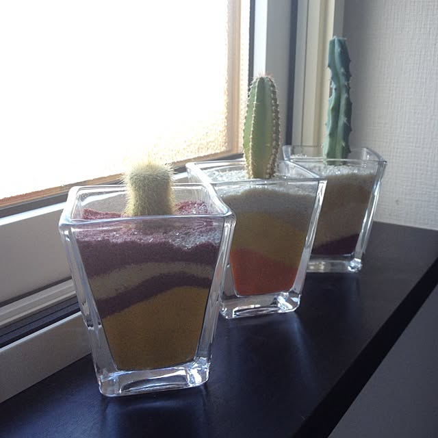 samaさんの実例写真