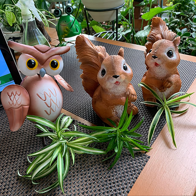 Aqettyさんの実例写真