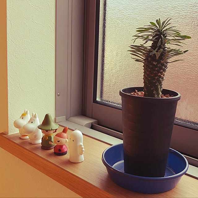 R.Rさんの実例写真