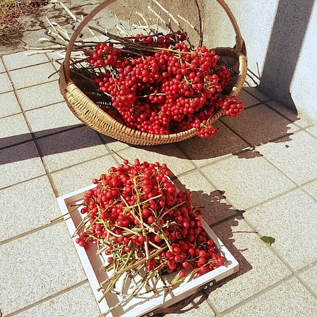 muuさんの実例写真