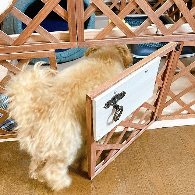 Mugi0204さんの実例写真