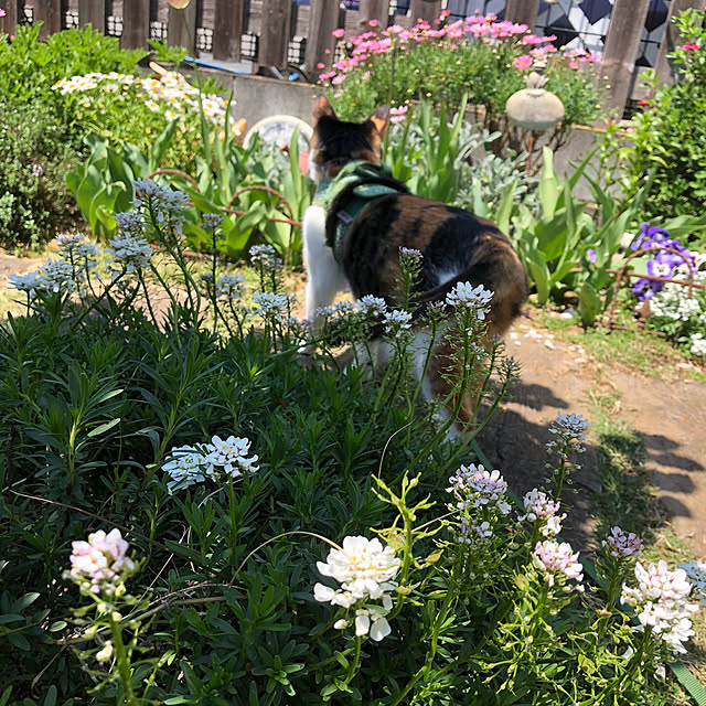 1013さんの実例写真