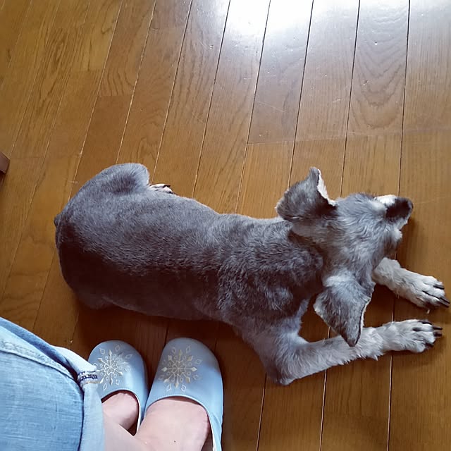 a-chanさんの実例写真