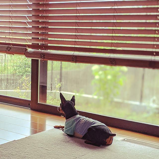 shizuponさんの実例写真