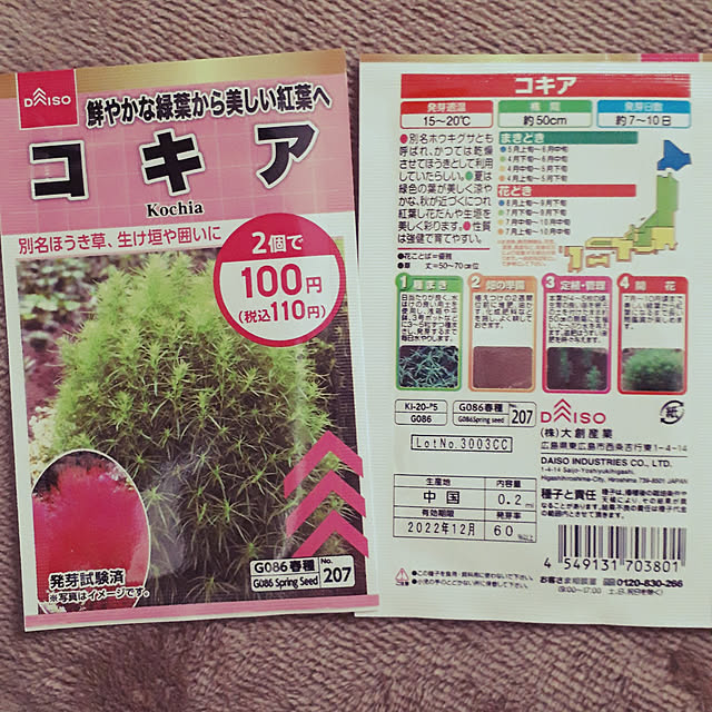 ANTENNAさんの実例写真