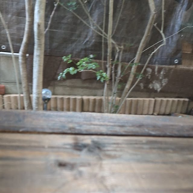 mori_6_12さんの実例写真