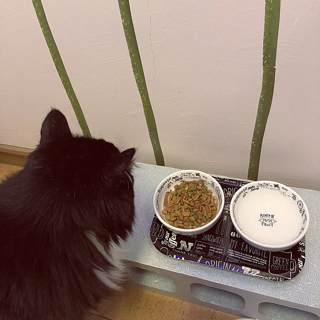 kanaさんの実例写真