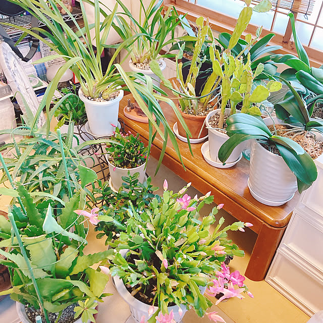 Megumiさんの部屋