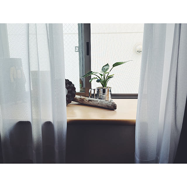 w_end_0625さんの実例写真