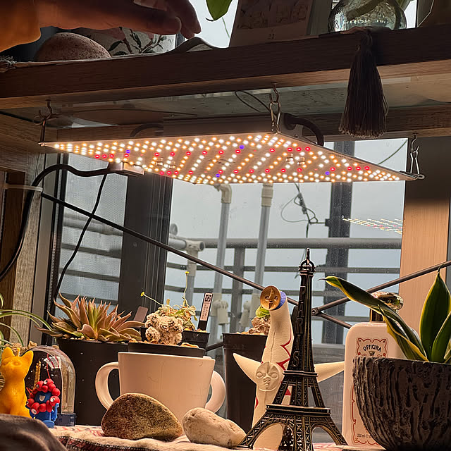 noraさんの実例写真