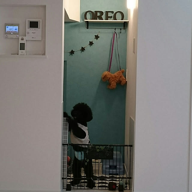 ucaさんの実例写真