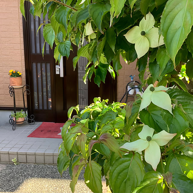 haruminさんの実例写真