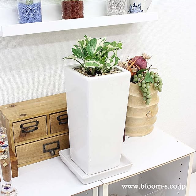 BloomingScapeさんの実例写真