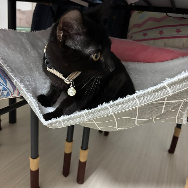 makiさんの実例写真