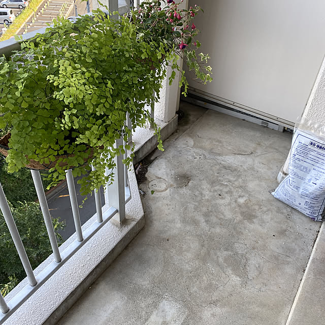 liichanさんの実例写真