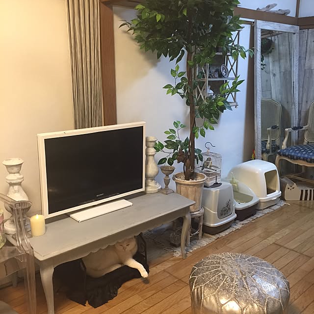 azusamaさんの実例写真