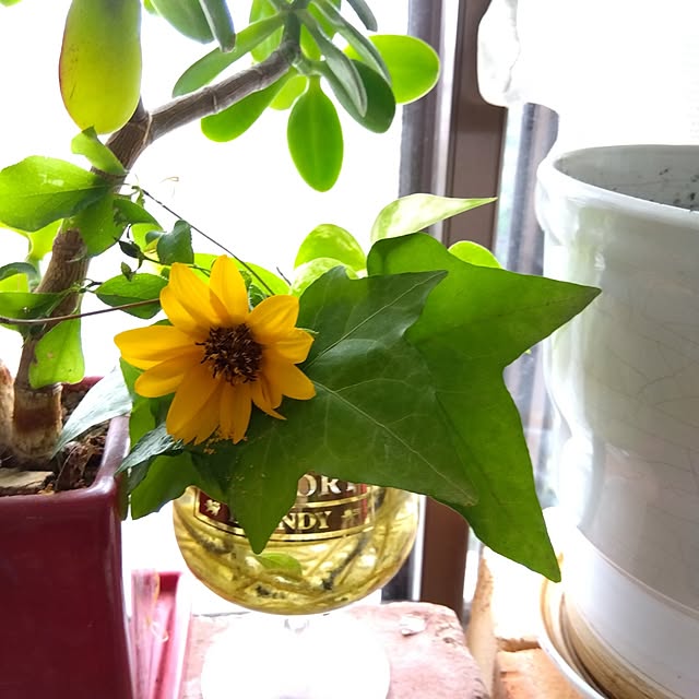 coco1204さんの実例写真