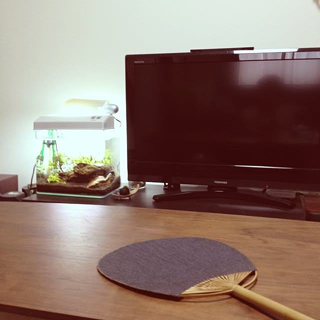 pomheroさんの実例写真
