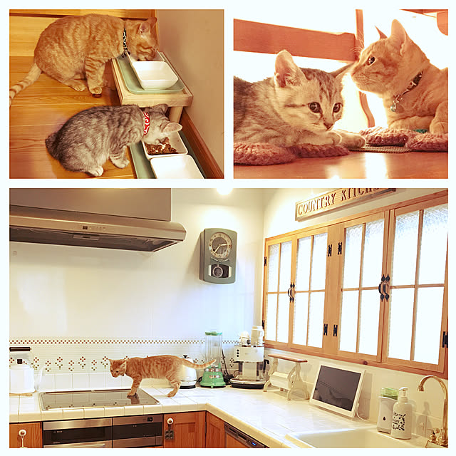 mako0301さんの実例写真
