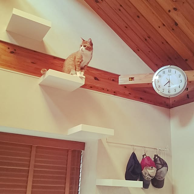 hanaさんの実例写真