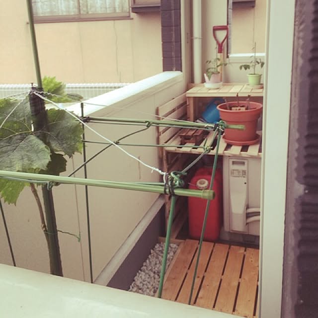 実例写真