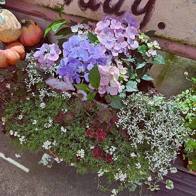 mocomocoさんの実例写真