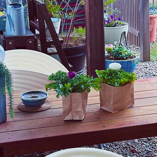 chacoさんの部屋