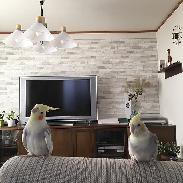 puriyuzuさんの実例写真