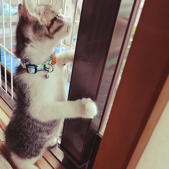 teruminさんの実例写真