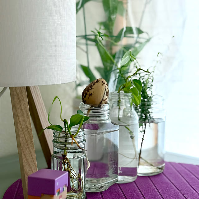 cat-number9さんの部屋