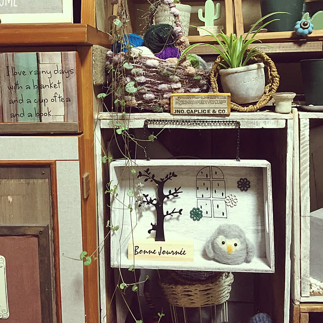 Norikoさんの実例写真