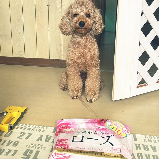 sei.kan.hide.chiyoさんの実例写真