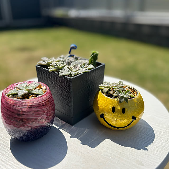 norimarukoさんの実例写真