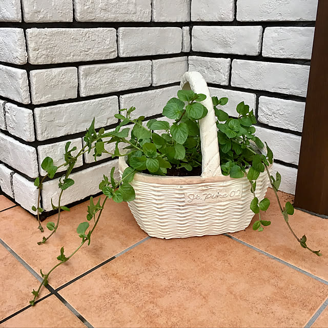ayataroさんの実例写真