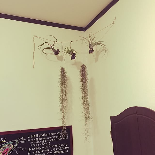 Hidetoさんの実例写真