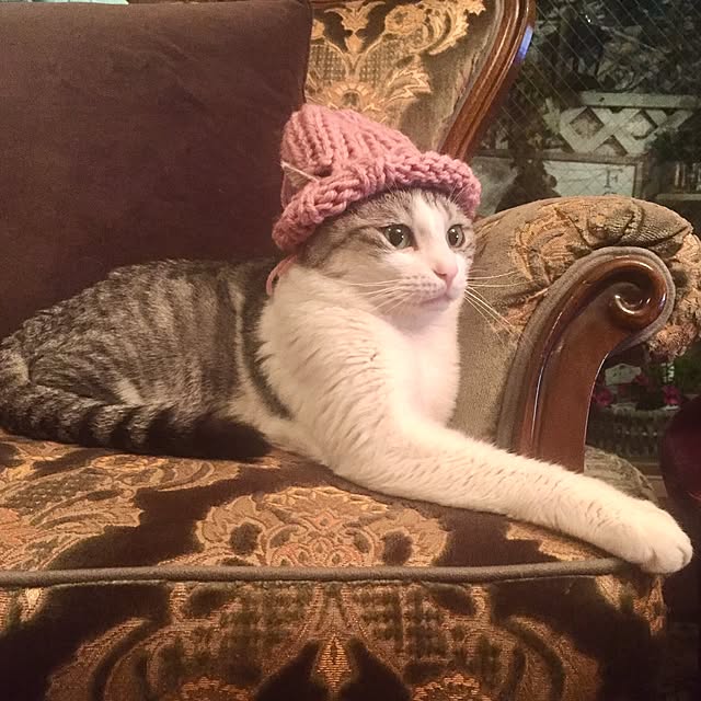 emmyyさんの実例写真