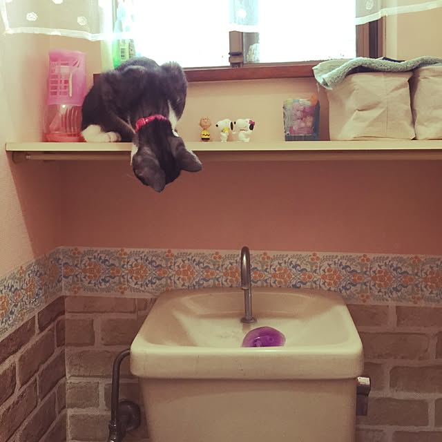 hanaさんの実例写真