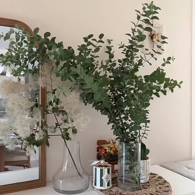 ya_maさんの部屋