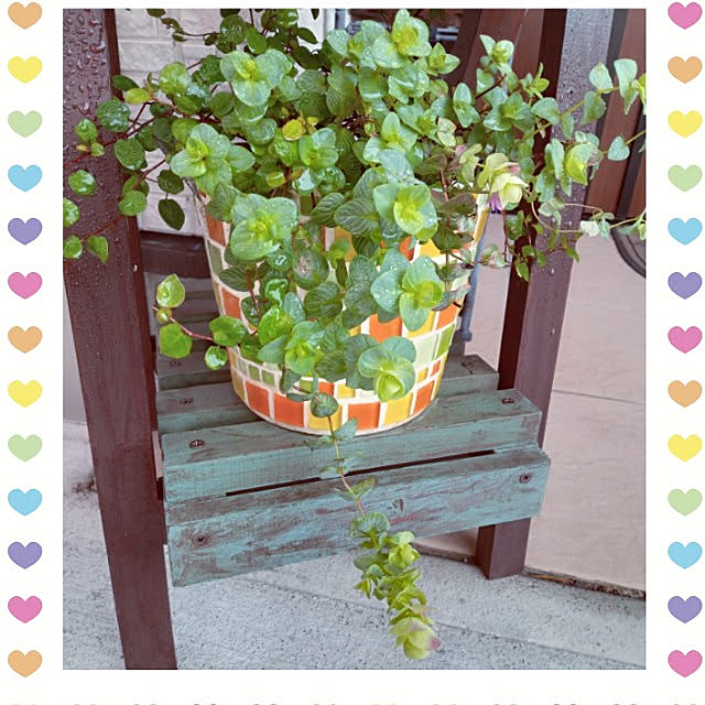 mocomocoさんの実例写真