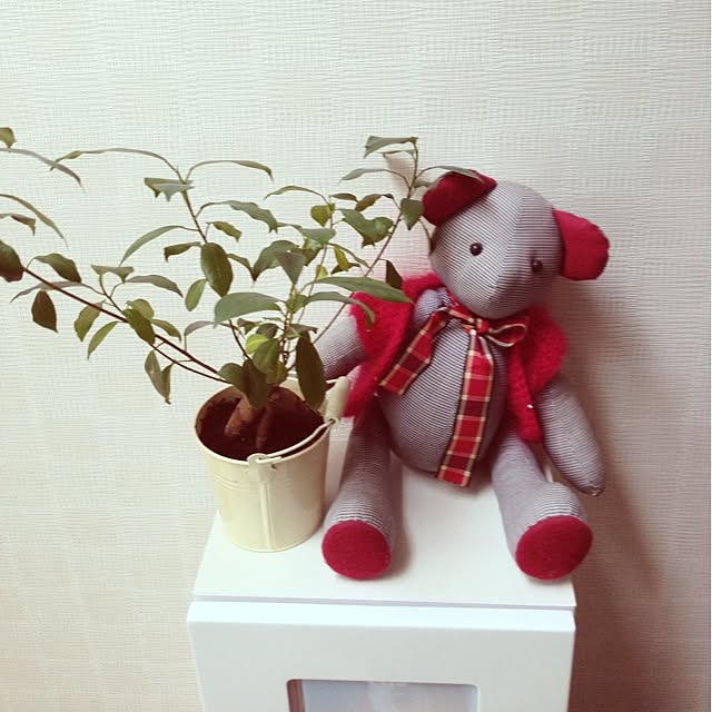 minidagさんの実例写真