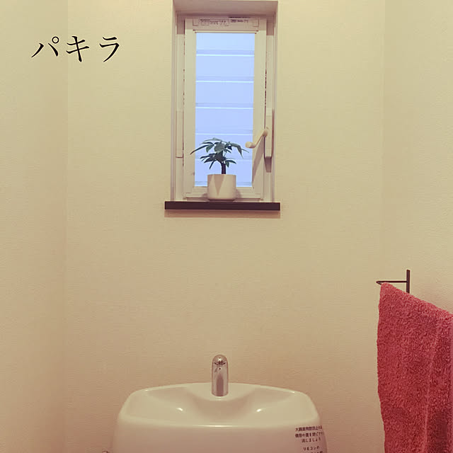 Mayさんの実例写真