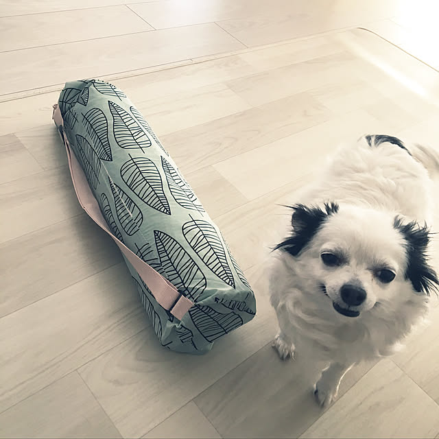 ohanaさんの実例写真