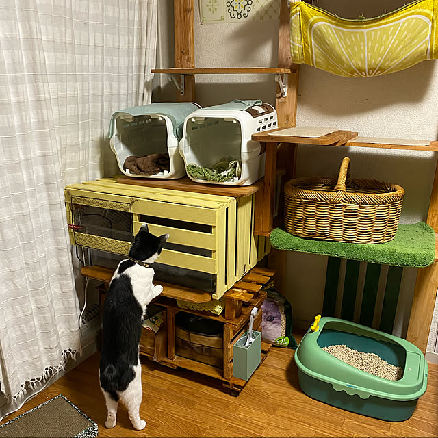 SHIHOさんの実例写真