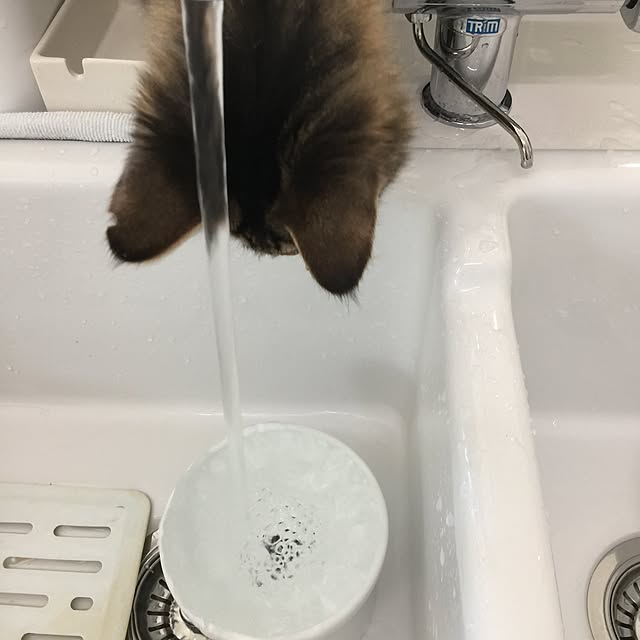 yuchiさんの実例写真
